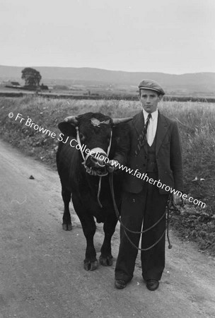 ROAD TO LOUGH TALT PRIZE BULL  P DURKIN  BONNCOULON